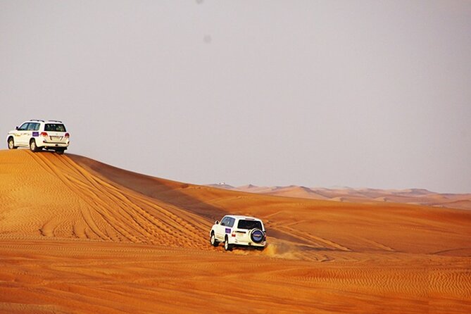 Dubai Desert Safari with BBQ, 3 Shows & Camel Ride at Majlis Camp - Is the $37 price good value?