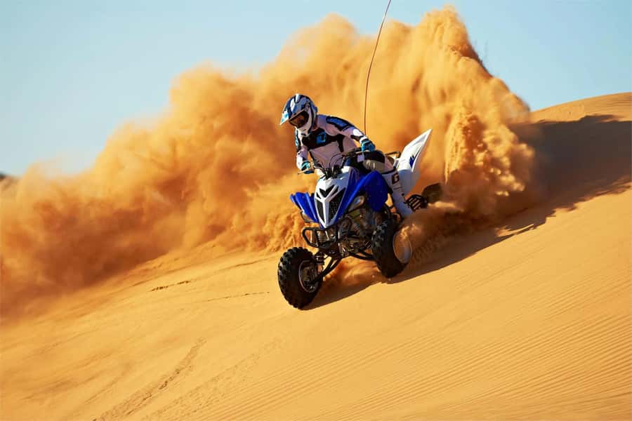 Dubai: Desert Safari with BBQ Dinner & Quad Biking Option - Who will get the most from this safari?