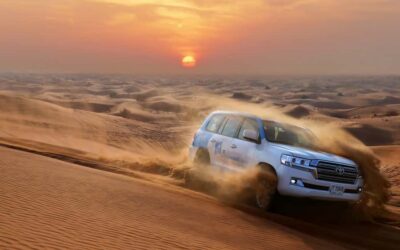 Desert Safari with Camp, Dinner, & Optional Overnight