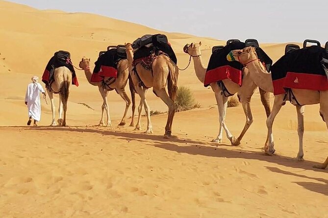 Dubai Desert Safari With Dune Bashing, Camel Ride & BBQ Dinner - The 3 p.m. pickup and shared SUV ride