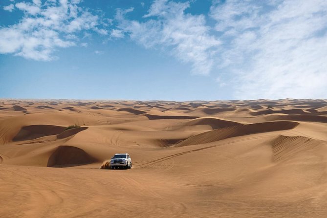 Dubai Desert Safari with Dune Bashing, Camel Rides & BBQ - Sand boarding on the slopes