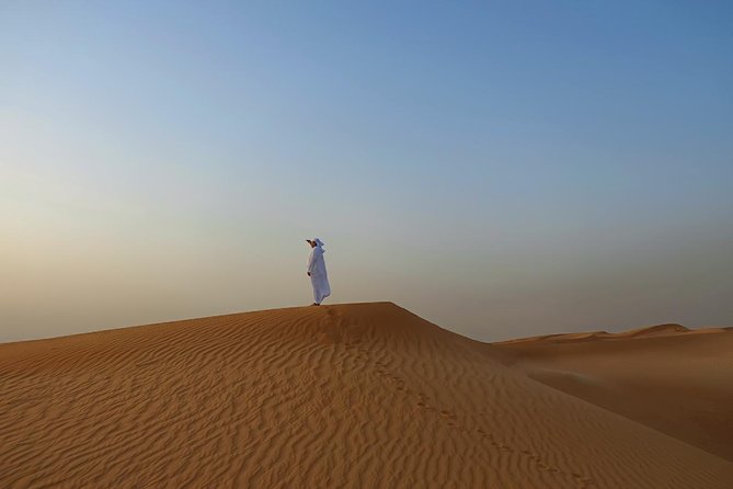 Dubai Desert Safari with Dune Bashing, Camel Rides & BBQ - Falconry, costumes, and henna