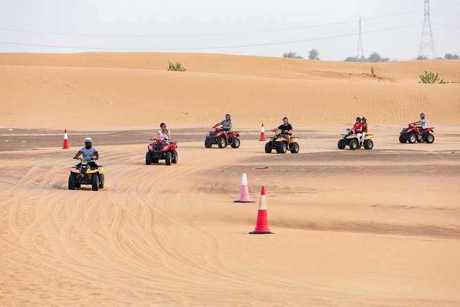 Dubai Desert Safari with Quads, BBQ Dinner, Camel ride, & Shows - The guides make a practical difference
