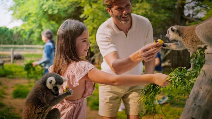 Dubai: Dubai Safari Park Entry Pass - Walking, trains, shade, and misting fans