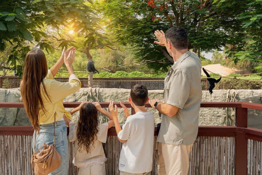 Dubai: Dubai Safari Park Entry Pass - What your $13 ticket actually gives you