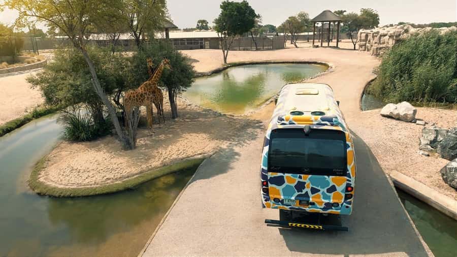 Dubai: Dubai Safari Park Entry Pass - Explorer Village and the safari bus