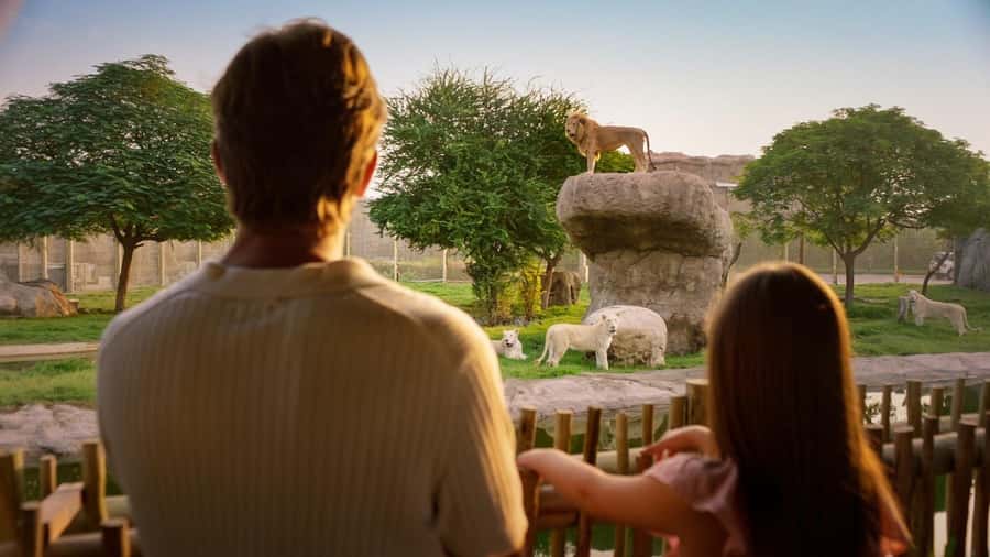 Dubai: Dubai Safari Park Entry Pass - Asian Village and the theatre