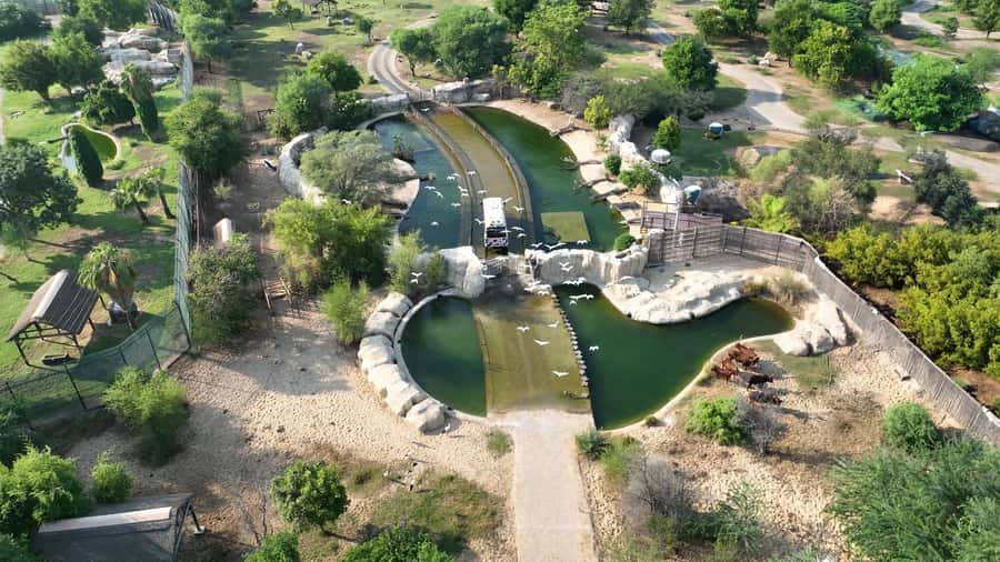 Dubai: Dubai Safari Park Entry Pass - Kids Farm for younger children
