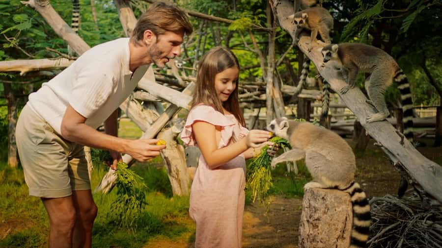 Dubai: Dubai Safari Park Entry Pass - Animal presentations and feeding times