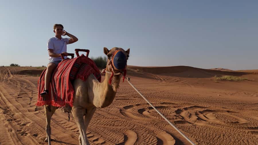 Dubai: Dune Buggy Safari and Camel Ride with Transportation - One hour in a 1000cc RZR