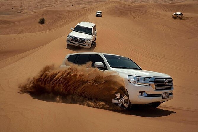 Dubai Evening Desert Safari & BBQ Dinner - The guides can shape the whole evening