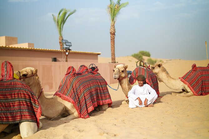 Dubai Evening Desert Safari BBQ Dinner & Transfer to Noble Camp - A BBQ buffet with a long evening program