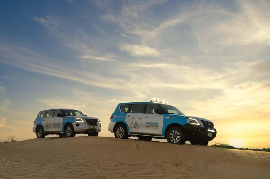 Dubai: Evening Desert Safari with Camel Ride & Stargazing - Who will enjoy this safari most