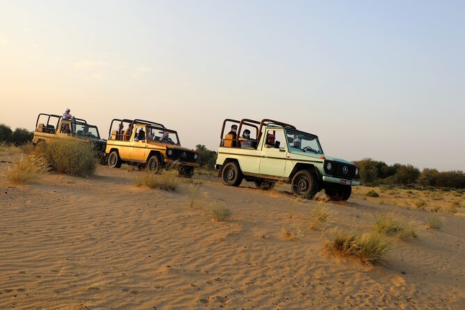 Dubai Evening Heritage Safari by Vintage G Class Al Marmoom Oasis - Al Marmoom gives the evening more space