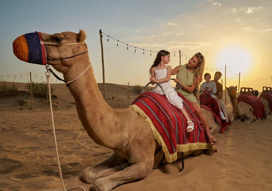 Dubai: Exclusive VIP Desert Safari Dinner with Live Show - The private 4x4 ride to Lahbab