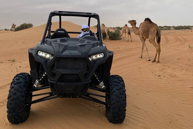 Dubai: Extreme Red Dune Buggy Desert Safari Adventure - Choosing between the buggy ride and the evening camp
