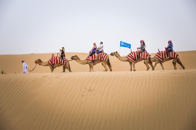 Dubai: Half-Day Desert Safari, Camels, Quad Bike & Refreshments - Sandboarding adds a lighter, sillier activity