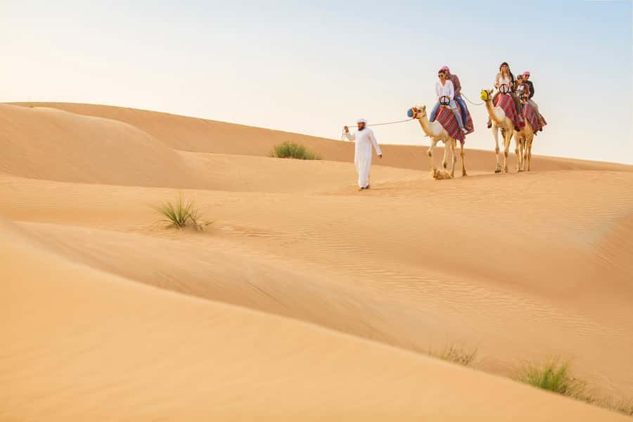 Dubai: Heritage Camel Desert Safari with Traditional Dinner - Comfort, timing, and who should book