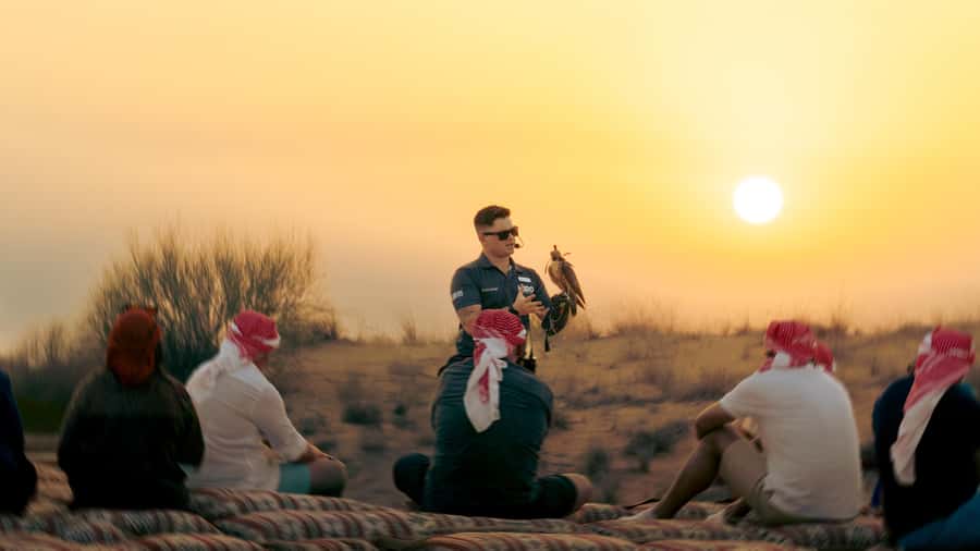Dubai: Heritage Safari in Vintage Land Rover with Dinner - Falconry at the edge of sunset