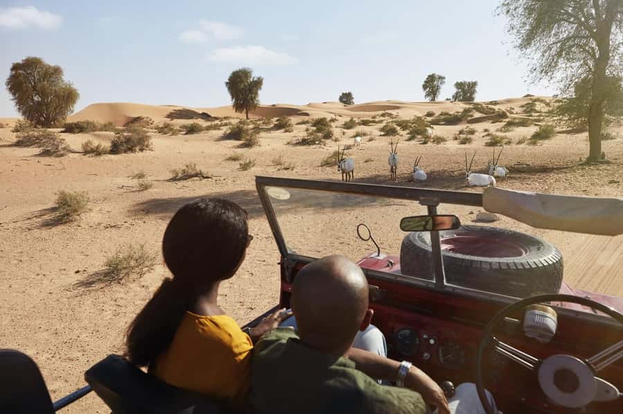 Dubai: Heritage Safari in Vintage Land Rover with Dinner - Drumming, Yola, and a gentle cultural program