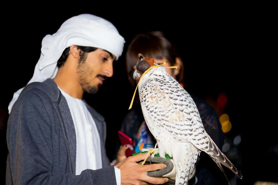 Dubai: Hot Air Balloon, Camel Ride, Desert Safari & More - Who should book this experience?