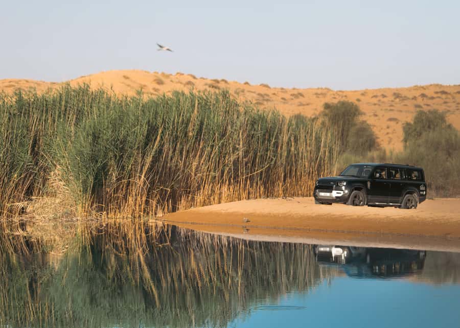 Dubai: Luxury Safari with Michelin-Curated 5-Course Dinner - A quiet start in the Dubai desert