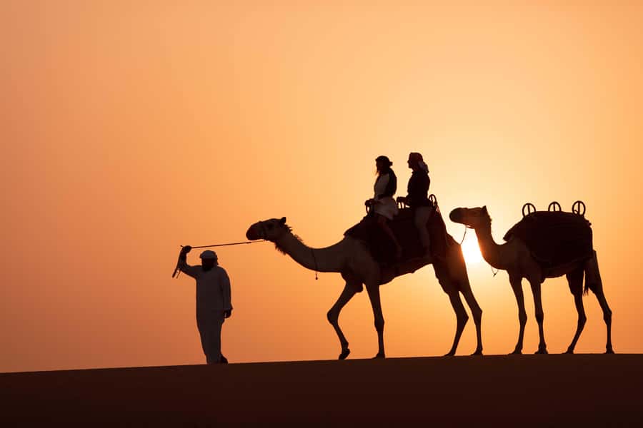 Dubai: Luxury Safari with Michelin-Curated 5-Course Dinner - Who will enjoy this most?
