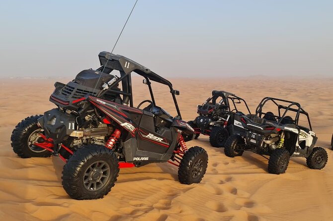 Dubai Morning Buggy Dunes Safari with Sandboarding & Camel Ride - The high dune stop gives the morning its best view