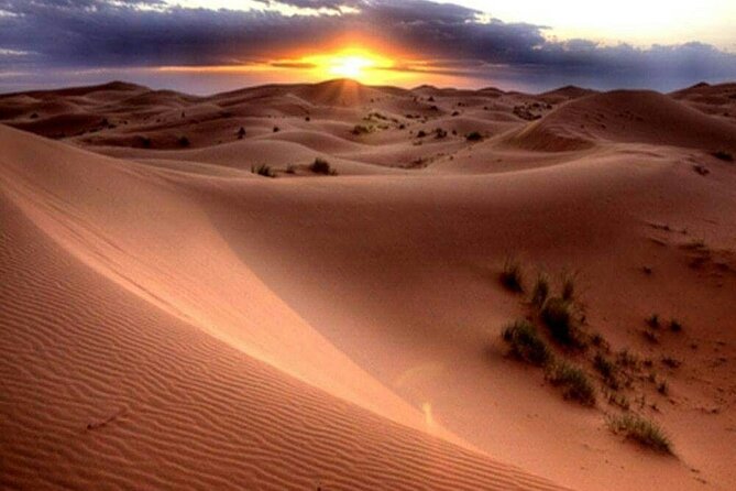 Dubai Morning Desert Safari: Camel Ride & Sandboarding! - Sandboarding on soft red sand