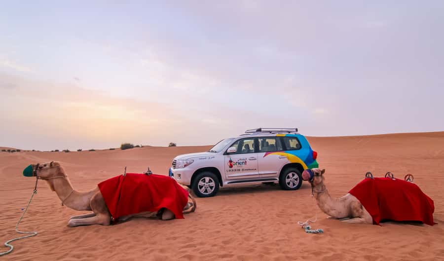 Dubai: Morning Desert Safari with Camel Ride & Sandboarding - Shared outing or private safari?