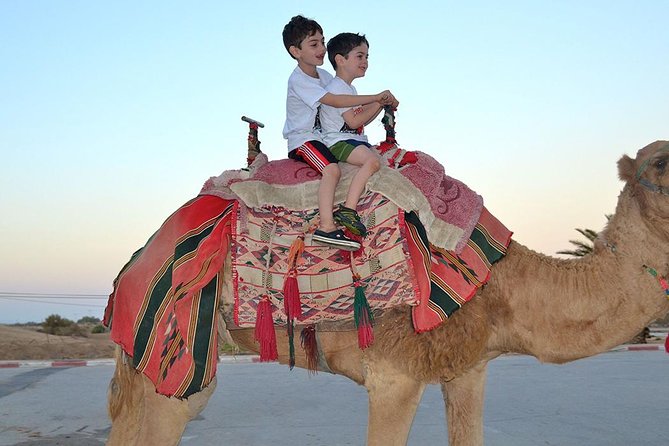 Dubai: Morning Desert Safari - The 4WD dune drive is the main thrill