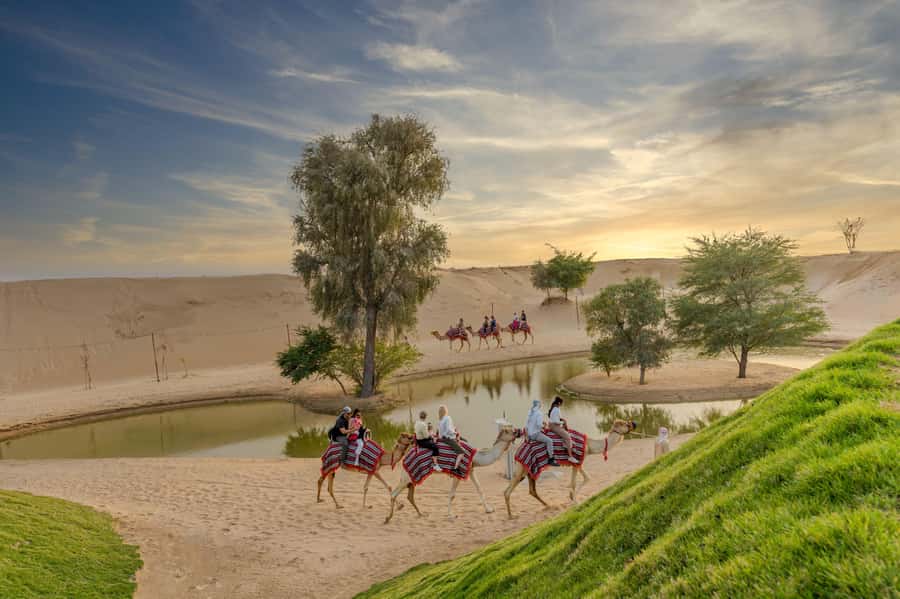 Dubai: Overnight Safari with Luxury Dome Stay & Stargazing - What the luxury dome is really like