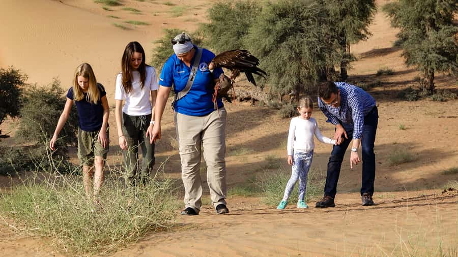 Dubai: Private Falconry Safari - Key points to know before booking