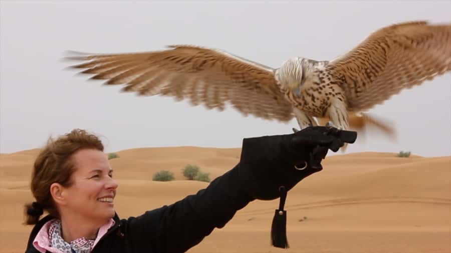 Dubai: Private Falconry Safari - Who will enjoy this most?