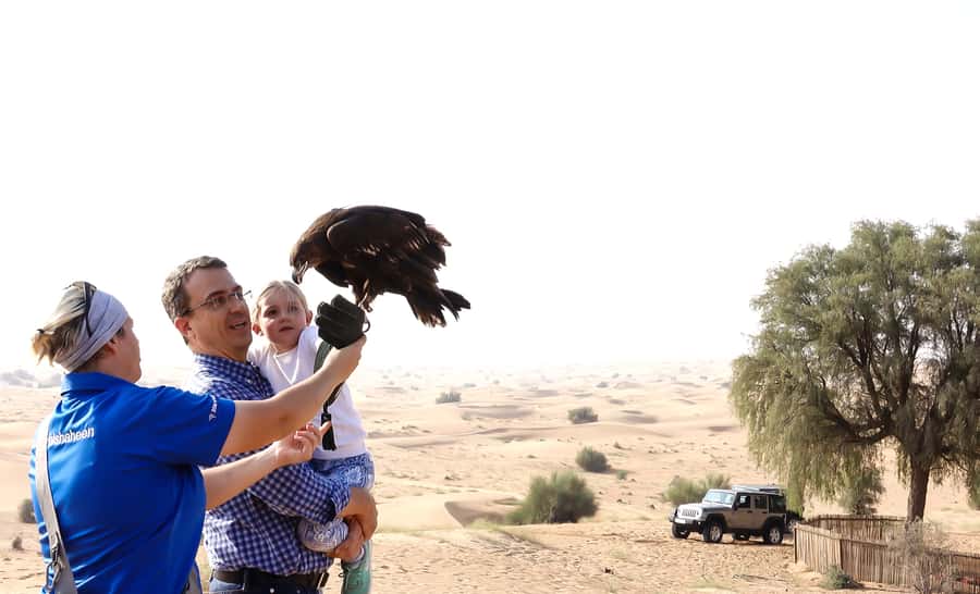 Dubai: Private Falconry Safari - The drive into the Dubai Desert Conservation Reserve