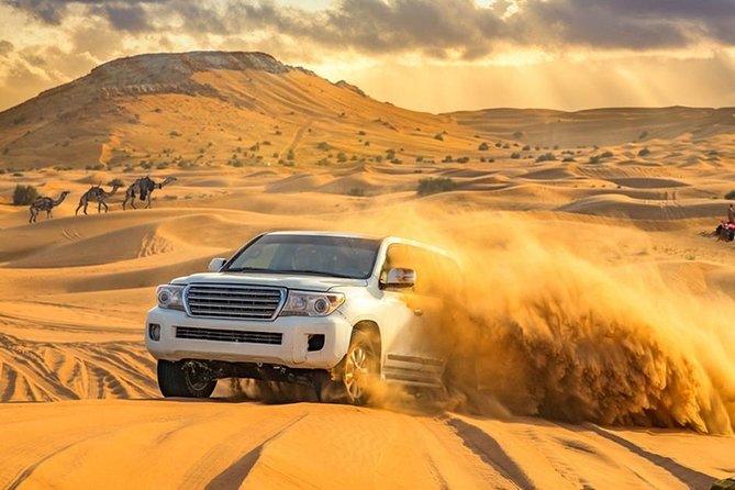 Dubai Private Morning Desert Safari: Camel Ride & Sandboarding - Private pickup makes the four-hour plan easy