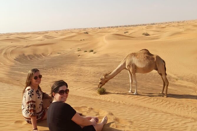 Dubai Private Morning Desert Safari: Camel Ride & Sandboarding - What the tour includes, and what costs extra