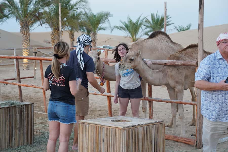 Dubai: Red Dune Desert Safari, Quad Bike, Camels, and BBQ - Quad biking: exciting, optional, and your responsibility