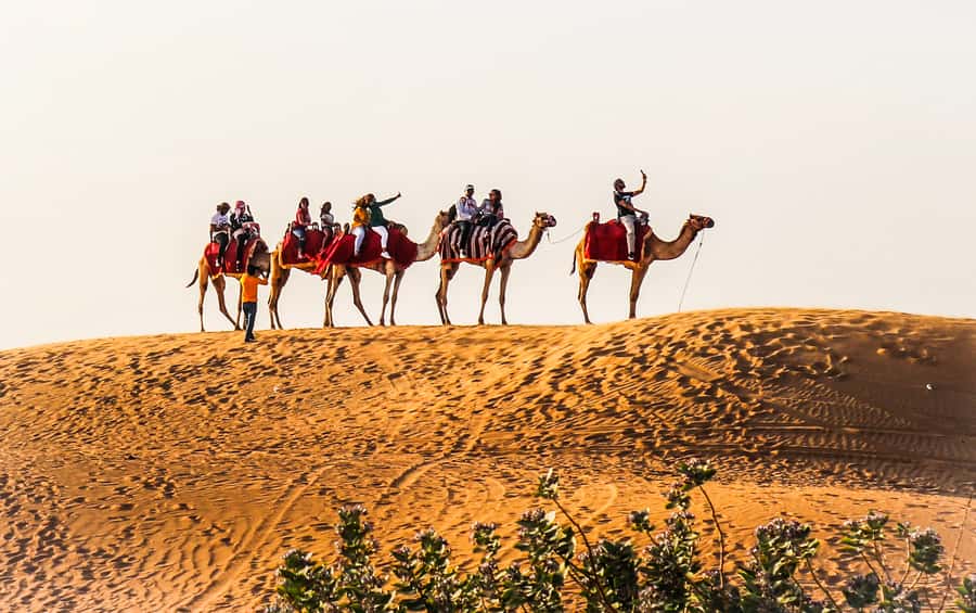 Dubai: Red Dune Safari, Quad Bike, Camel Ride, BBQ Dinner - Pickup from Dubai, Sharjah, or Ajman