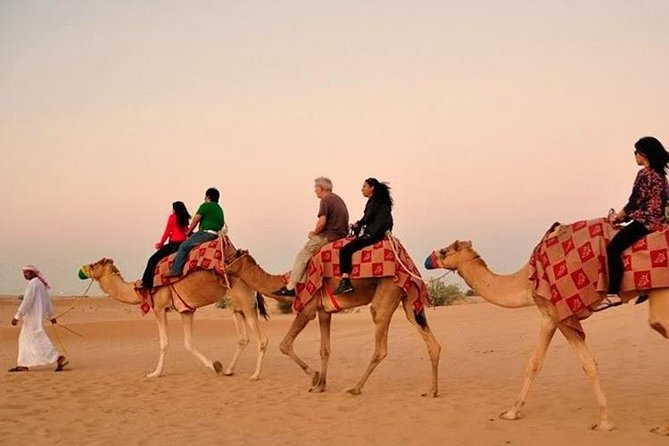 Dubai Red Dunes Desert Safari : Sandboarding, BBQ & Live Shows - Dance performances and the light show
