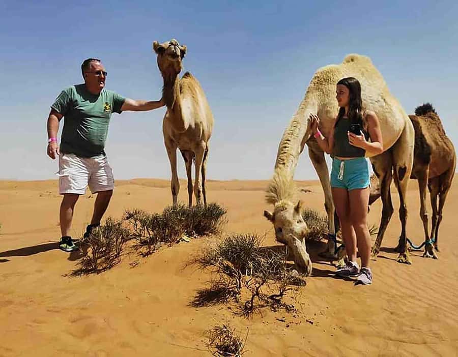 Dubai: Red Dunes Desert Safari with Premium Camp BBQ & Shows - How much value do you get for $49?