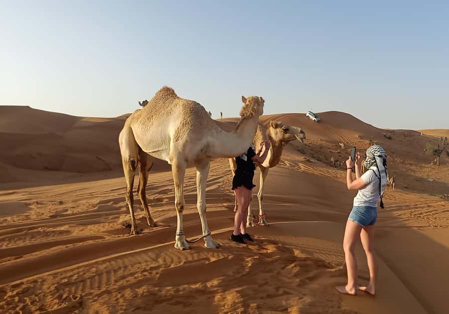 Dubai: Red Dunes Desert Safari with Premium Camp BBQ & Shows - Lahbab’s red sand and the first desert stop
