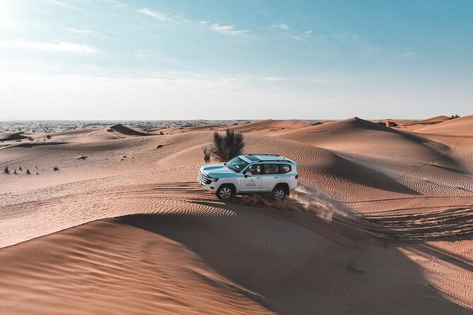Dubai Red Dunes Safari: Dune Bashing, Camel Ride & Breakfast - What the conservation reserve adds