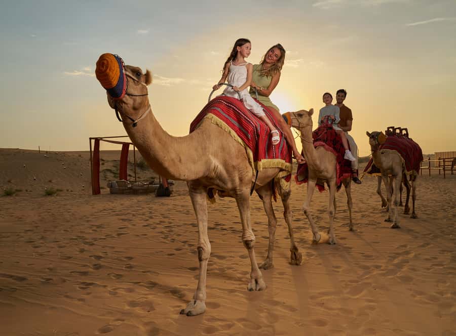 Dubai’s Best Desert Safari: Live Show & Gourmet BBQ Dinner - What 45 minutes of dune bashing feels like
