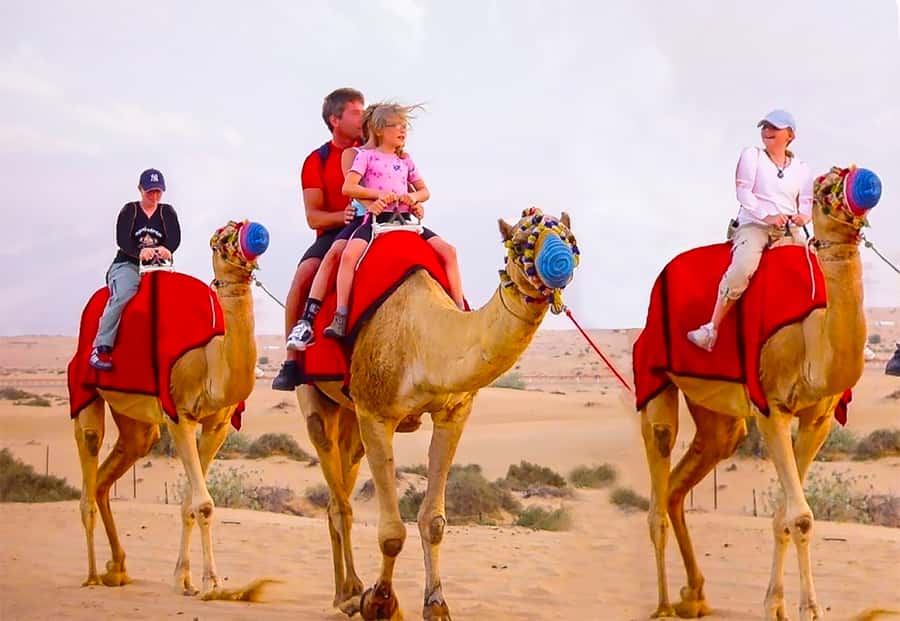 Dubai: Safari, Quad Bike, Camel Ride, and Buffet Dinner - A practical stop before the main action
