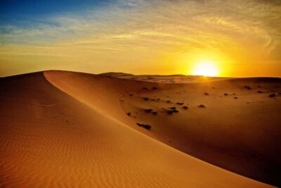 Sunrise Desert Jeep Safari with Wildlife Experience