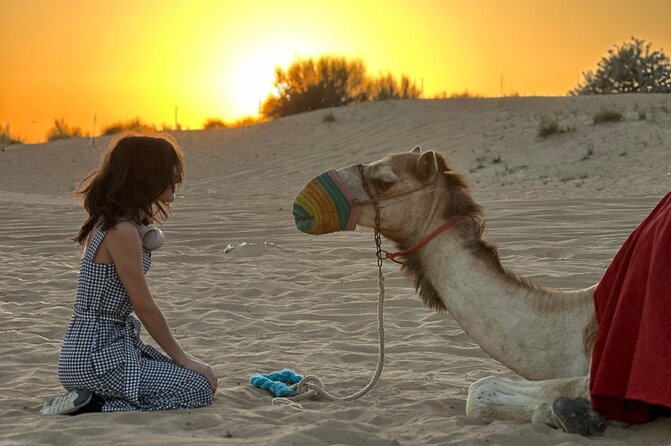 Dubai Sunset Red Dune Desert Safari, Sandboarding and Camel Ride - Dinner, entertainment, and package choices
