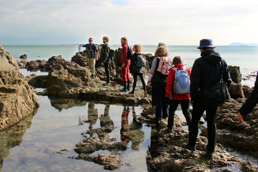 Dublin: Howth Safari Hiking Tour - Cliffs and the Baily Lighthouse viewpoint