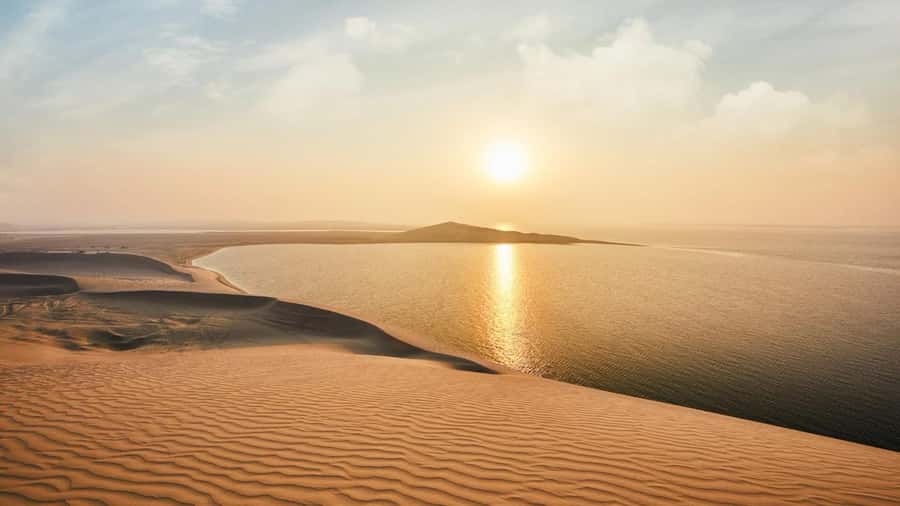 Dune Bashing &Beyond The Ultimate Desert Safari From Doha - Guides, safety, and the human side of the trip