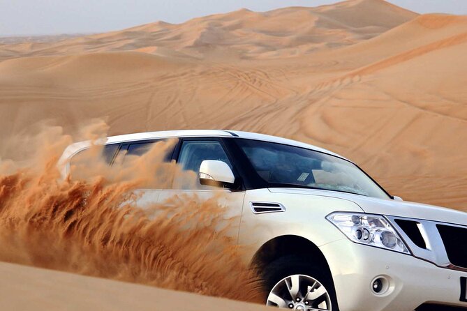 Dune Safari with 4X4 Car and BBQ Dinner - Who this Dubai safari suits best